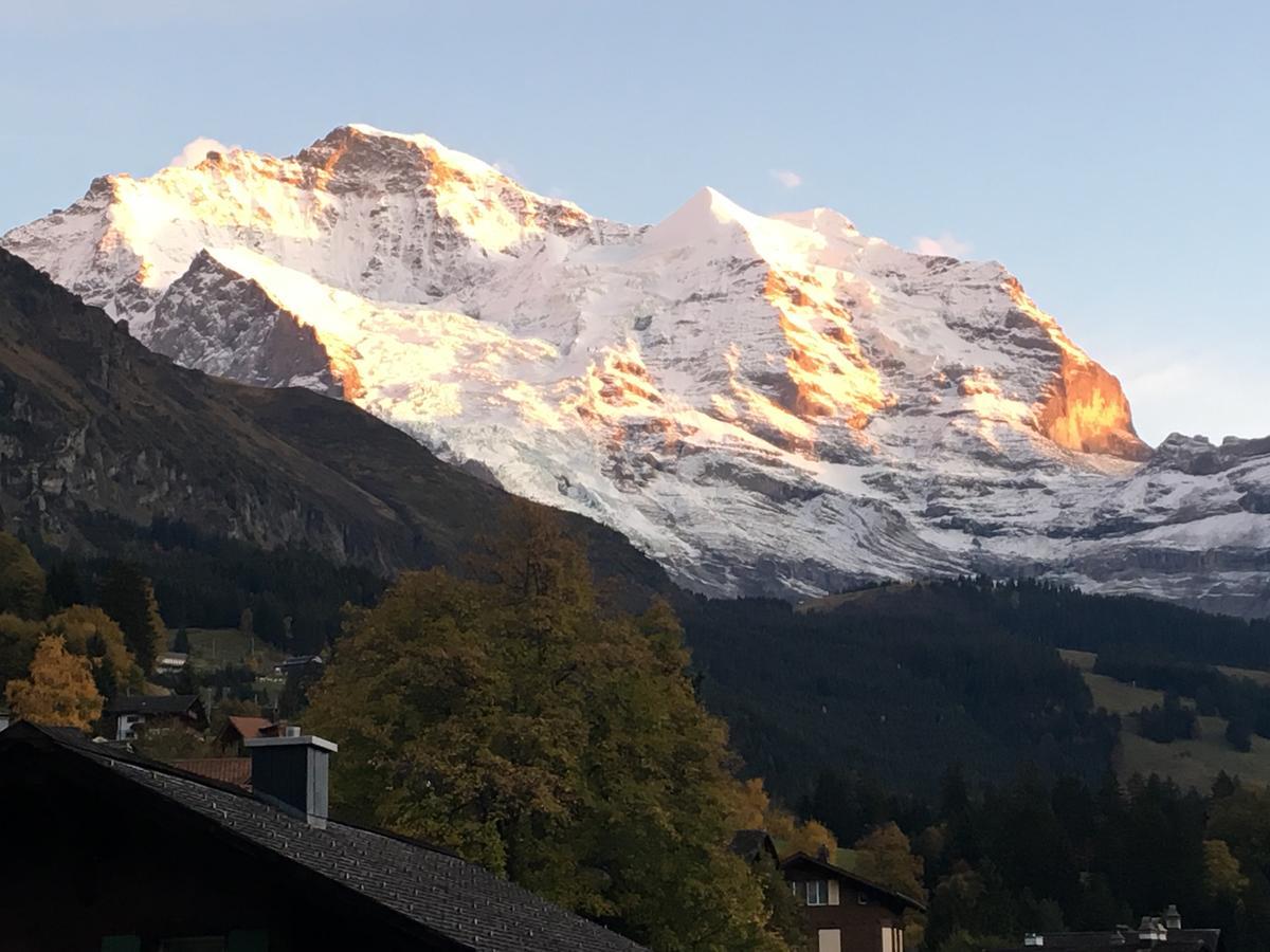 Pasta&More Bed&Breakfast Wengen Eksteriør billede